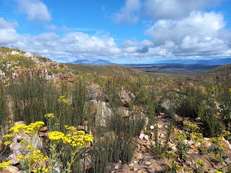 Commercial Property for Sale in Uniondale Rural Western Cape